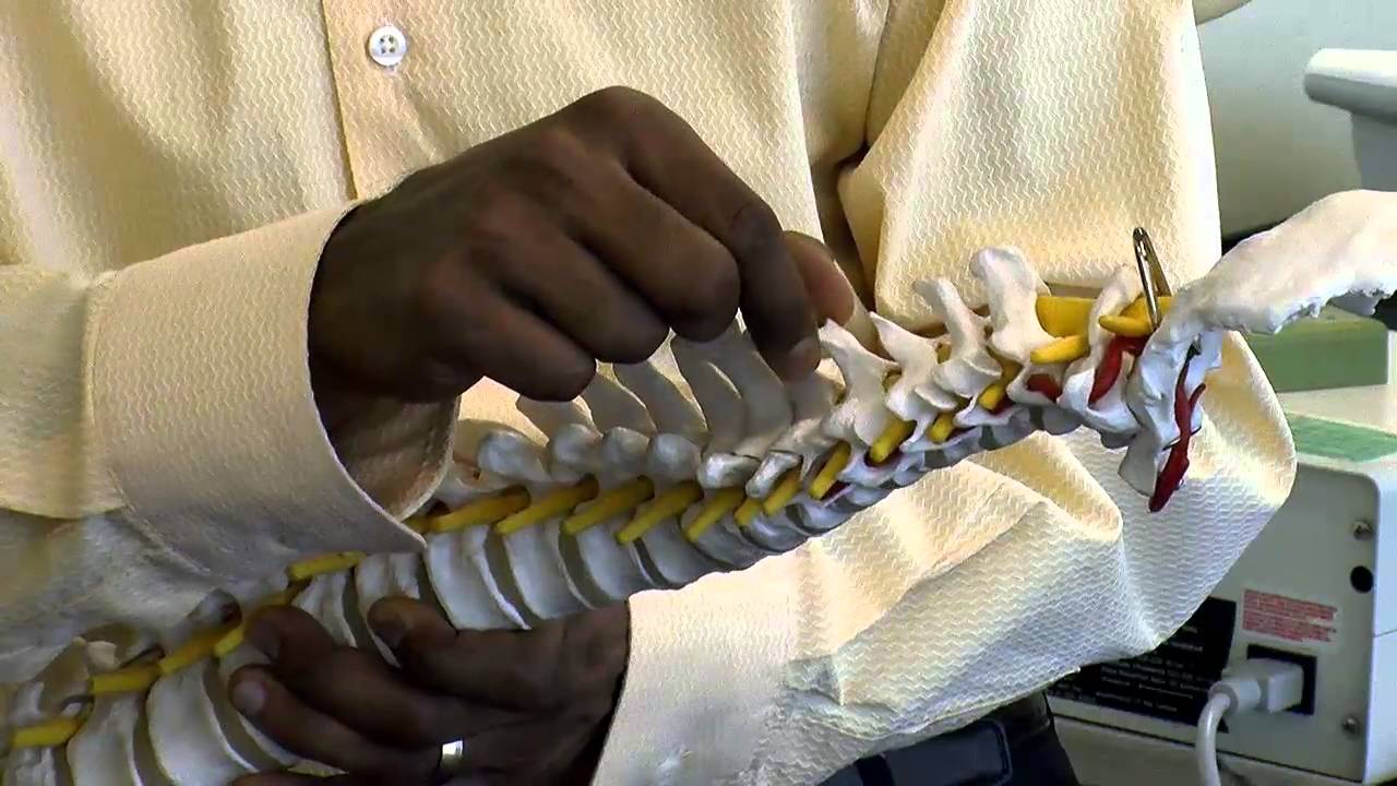 You are currently viewing Orthopedic Physiotherapy Video – 9