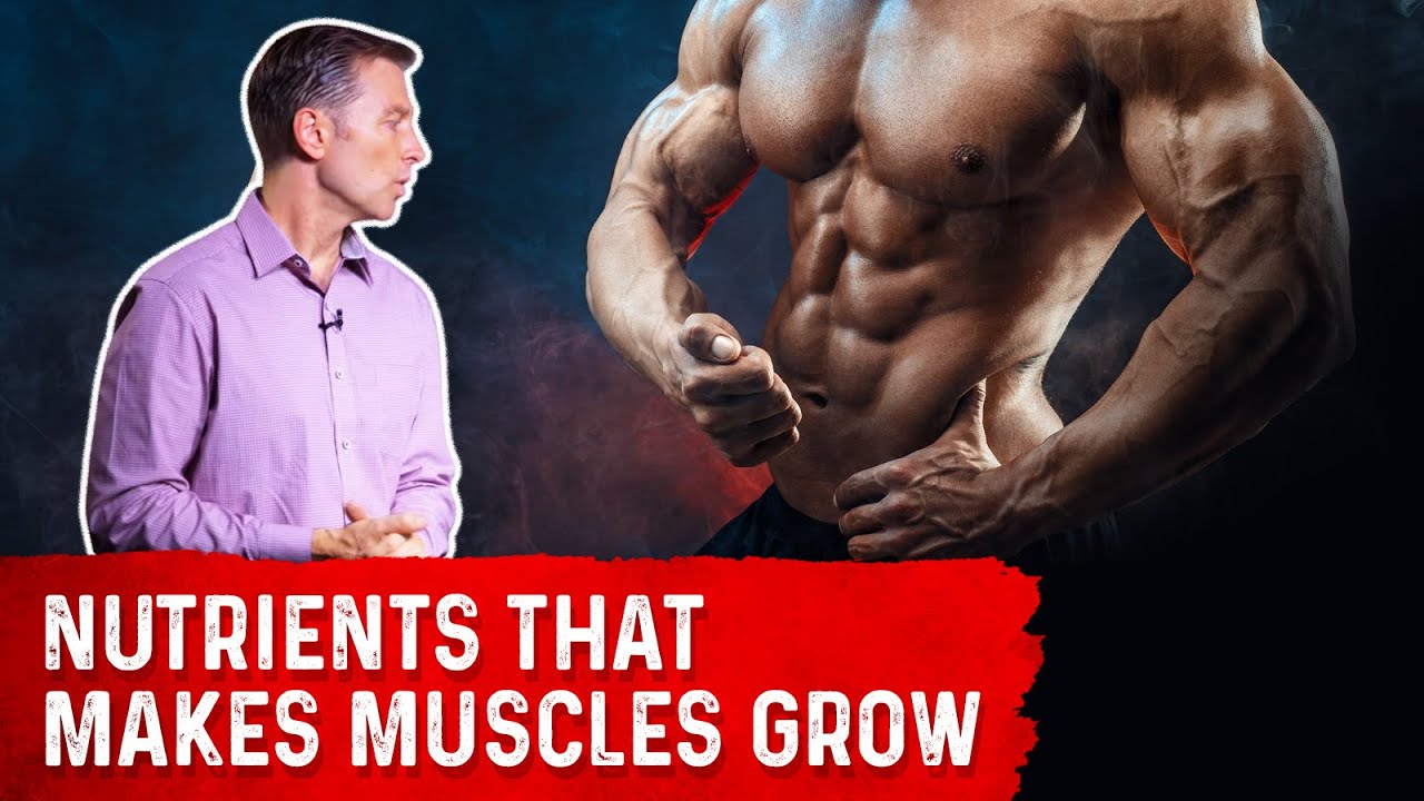 You are currently viewing Key Muscle Nutrition For Building Muscle: Dr.Berg on Muscle Growth