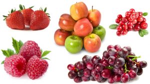 Kidney Disease Prevention – 15 Super Foods
