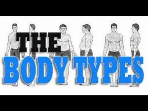 Read more about the article Know Your Body Types