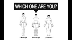 Read more about the article Know which body type you have !