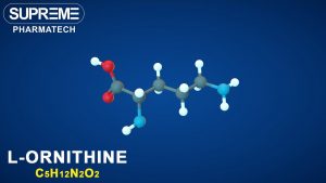L-Ornithine | C5H12N2O2 | 3D molecule