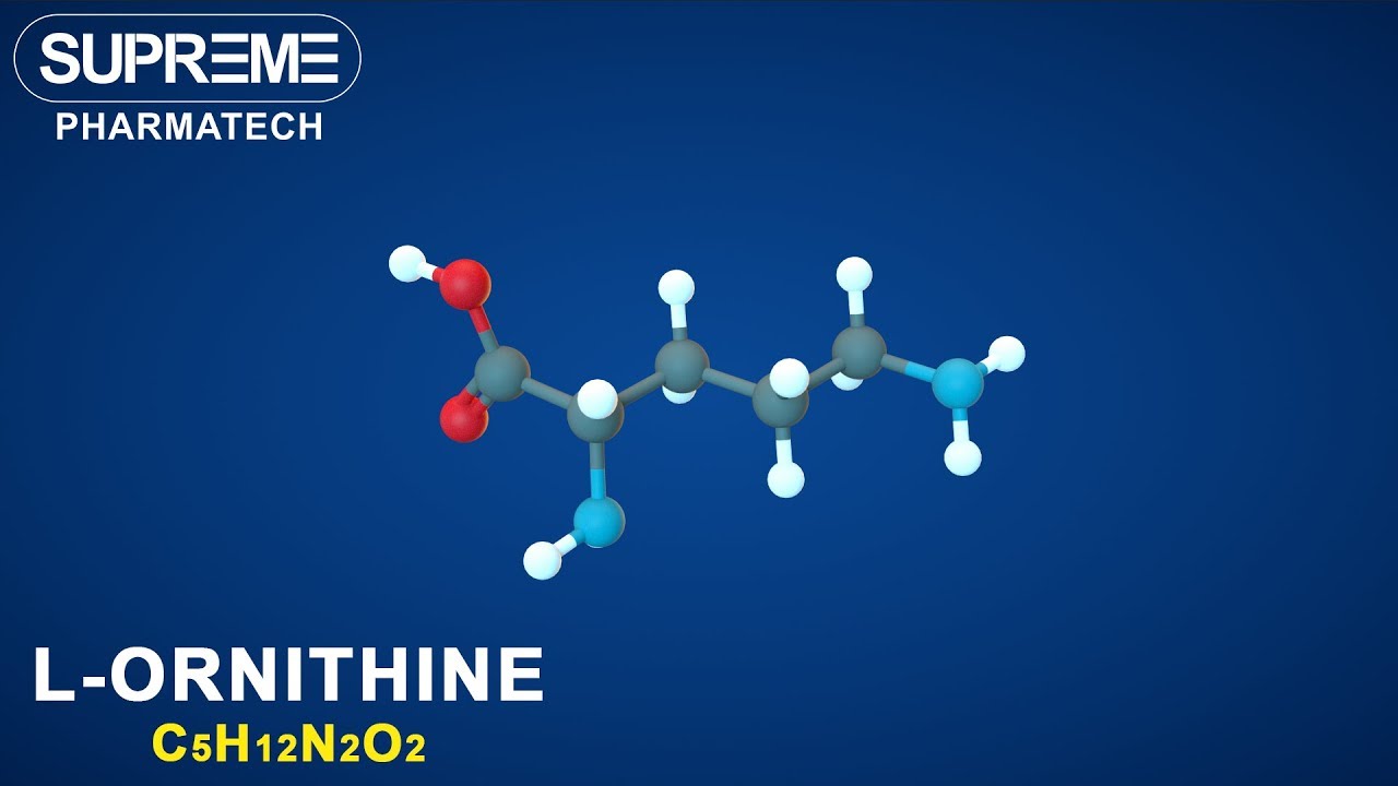 You are currently viewing L-Ornithine | C5H12N2O2 | 3D molecule