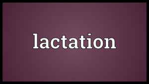 Read more about the article Lactation Meaning
