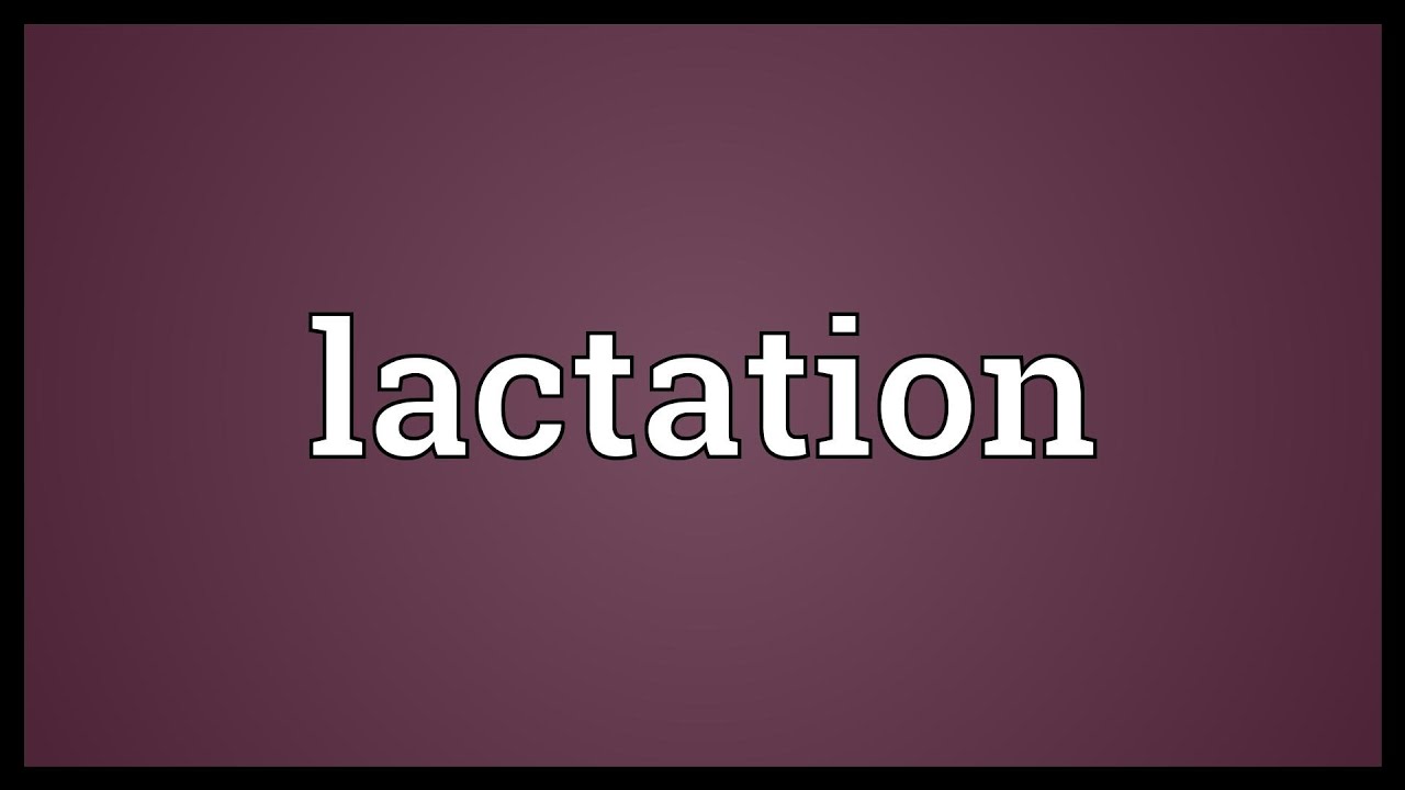 You are currently viewing Lactation Meaning