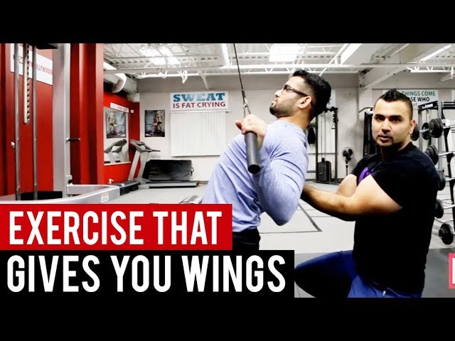 You are currently viewing Lat Pull Downs Gives you Wings   (Hindi / Punjabi)