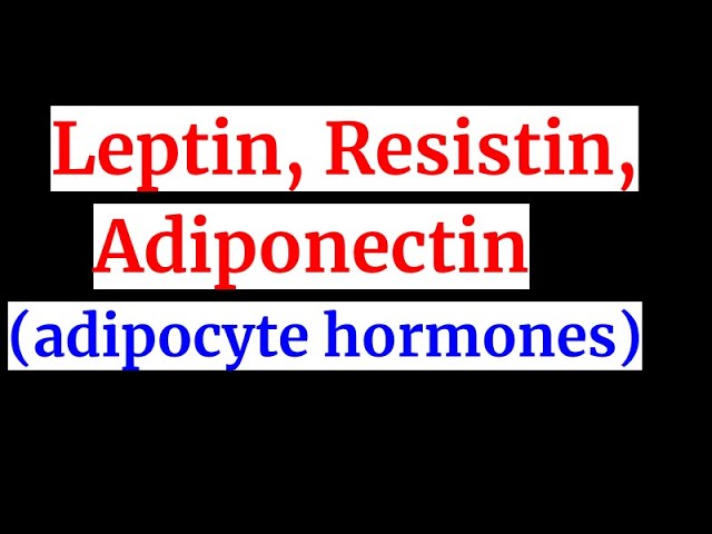 You are currently viewing Leptin, Adiponectin ,resistin(-adipocyte hormones)