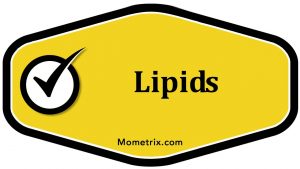 Read more about the article Lipids