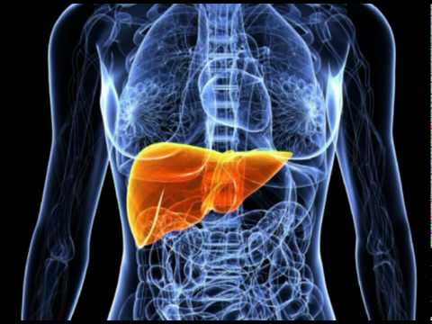 You are currently viewing Liver Disease Symptoms – Learning to recognize and understand Liver Disease Symptoms