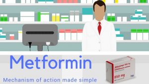 Read more about the article METFORMIN MECHANISM OF ACTION MADE SIMPLE *ANIMATED*