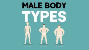 Read more about the article Male Body Types: Different Somatotypes