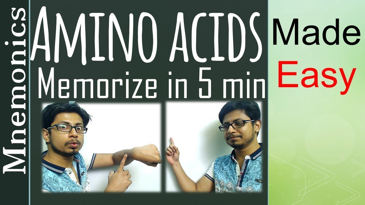 You are currently viewing Memorize amino acids | amino acid easy tricks to remember