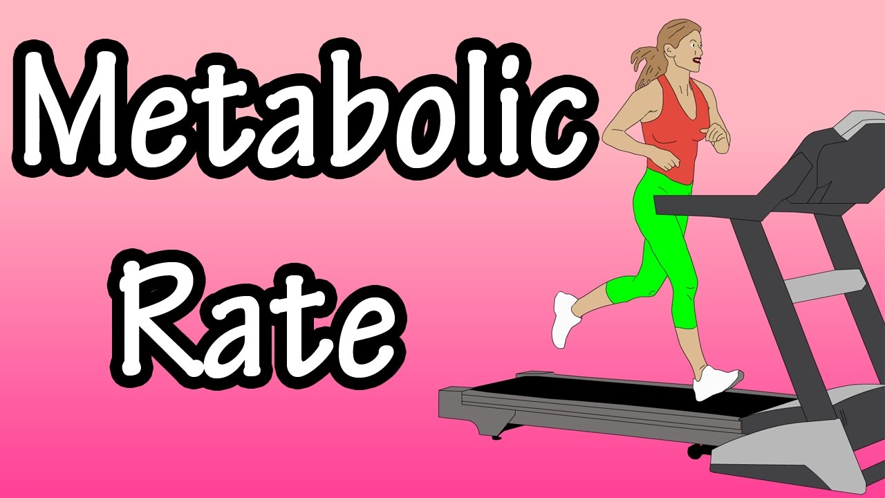 You are currently viewing Metabolic Rate – What Is Metabolic Rate – Basal Metabolic Rate – How Many Calories Burned In A Day
