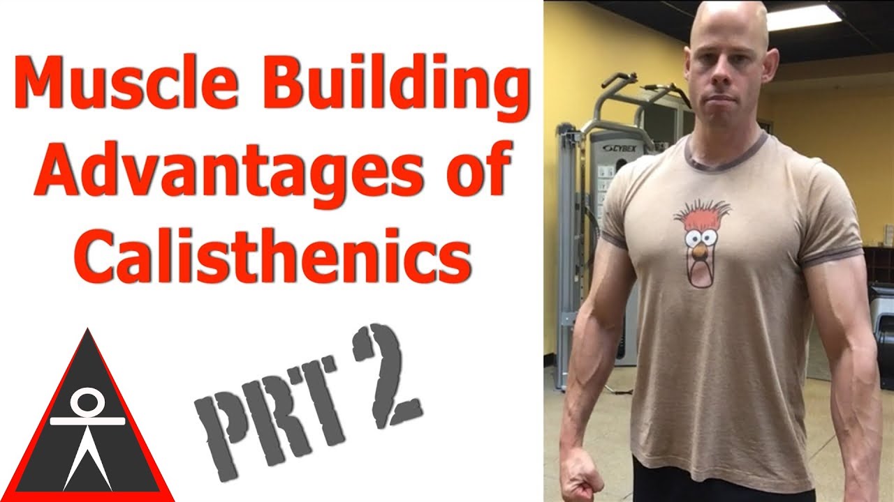 You are currently viewing Human Body, Body Building Muscle Building Anatomy Physiology Video – 49