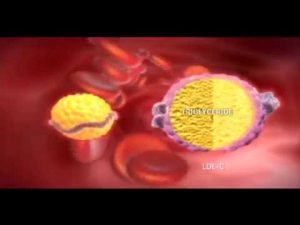 Read more about the article Niacin effects on Cholesterol (Mechanism of Action)