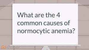 Read more about the article Normocytic anemia?