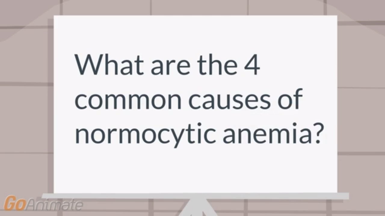 You are currently viewing Normocytic anemia?