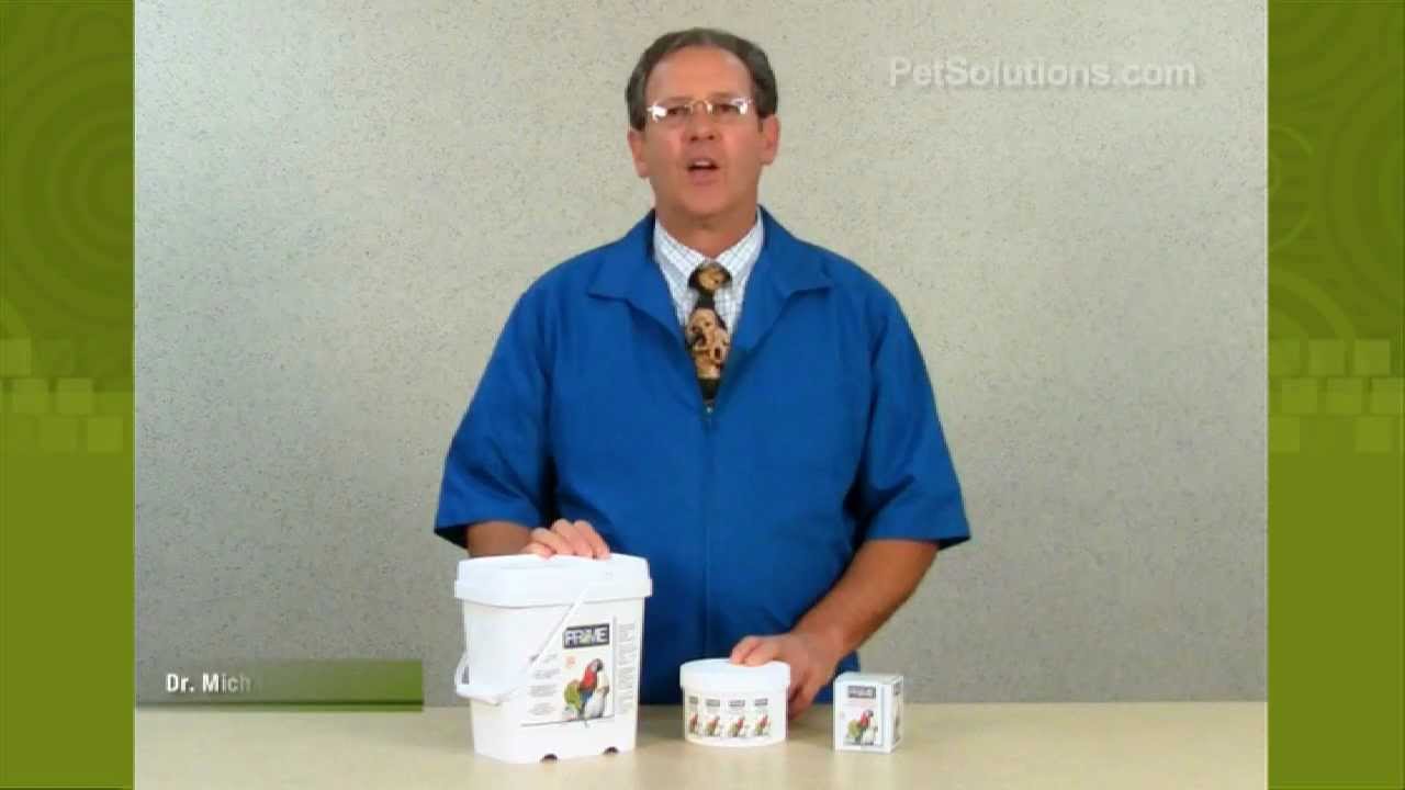 You are currently viewing PetSolutions: Prime Vitamin, Mineral, Amino Acid Supplement