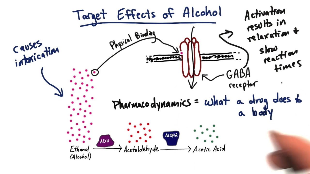 You are currently viewing Pharmacodynamics – Tales from the Genome