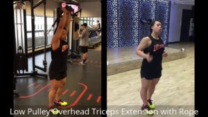 Read more about the article Phase 3 Day 2 A4 – Low Pulley Overhead Triceps Extension with Rope
