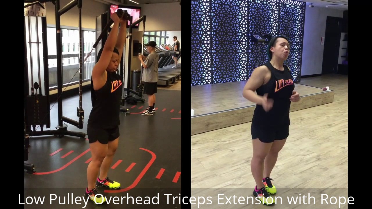 You are currently viewing Phase 3 Day 2 A4 – Low Pulley Overhead Triceps Extension with Rope