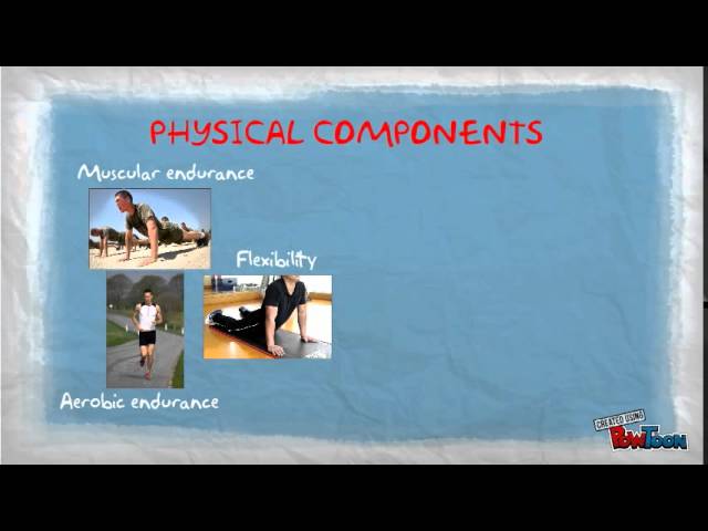 You are currently viewing Physical and Skill-related Components of Fitness