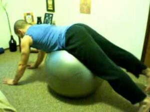 Read more about the article Physio ball Prone Single Leg /Alternating reverse low back h