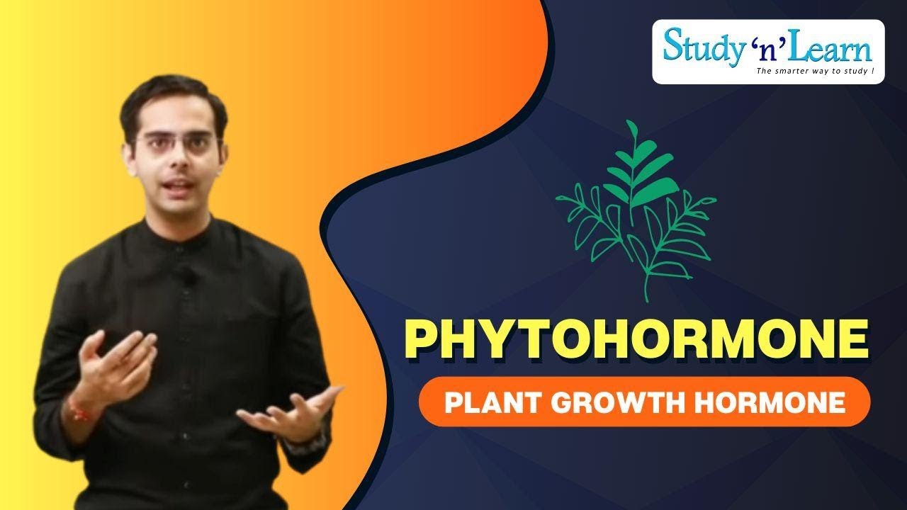 You are currently viewing HGH, Growth Hormones & Plant Hormones Video – 17