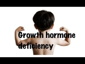 Read more about the article HGH, Growth Hormones & Plant Hormones Video – 29