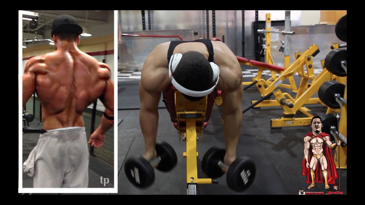 You are currently viewing Rear Delt Routine Shoulder Workout