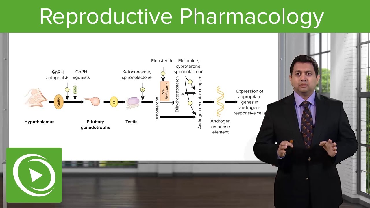 You are currently viewing Reproductive Pharmacology: Overview – Pharmacology | Lecturio