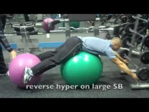Reverse Hyperextension with Stability Ball