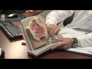 Read more about the article Obstrics Surgeries Video – 1