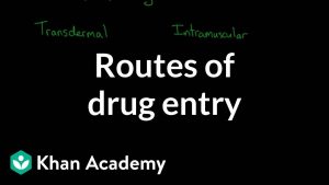 Read more about the article Routes of drug entry | Processing the Environment | MCAT | Khan Academy