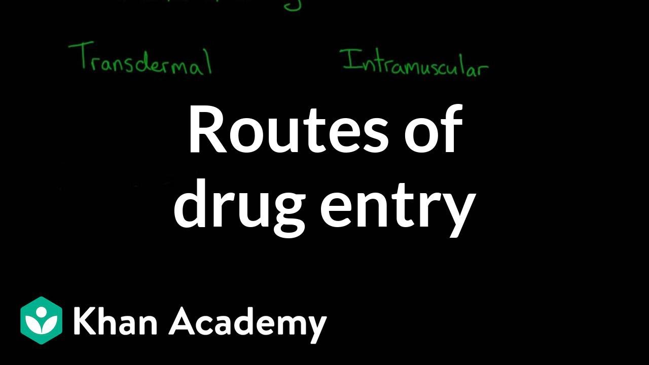 You are currently viewing Routes of drug entry | Processing the Environment | MCAT | Khan Academy