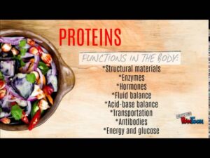 6 Class Of Nutrients Video – 1