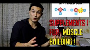 Read more about the article SUPPLEMENTS YOU NEED// MUSCLE BUILDING// BCAA// CREATINE [HINDI]