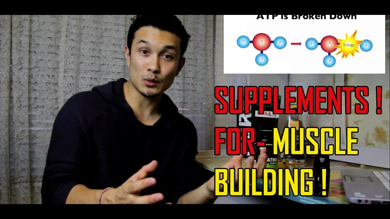 You are currently viewing SUPPLEMENTS YOU NEED// MUSCLE BUILDING// BCAA// CREATINE [HINDI]