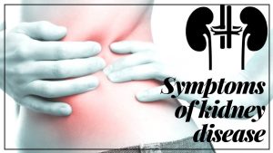 Read more about the article SYMPTOMS OF KIDNEY DISEASE