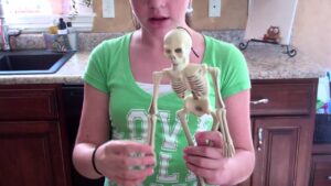 Read more about the article Science Saturday – resources to study the skeletal system