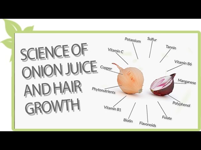 You are currently viewing Science of ONION JUICE and natural hair growth