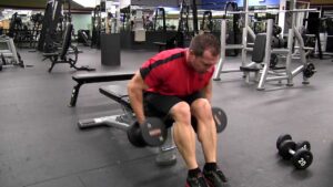 Read more about the article Seated Bent Over Dumbbell Row