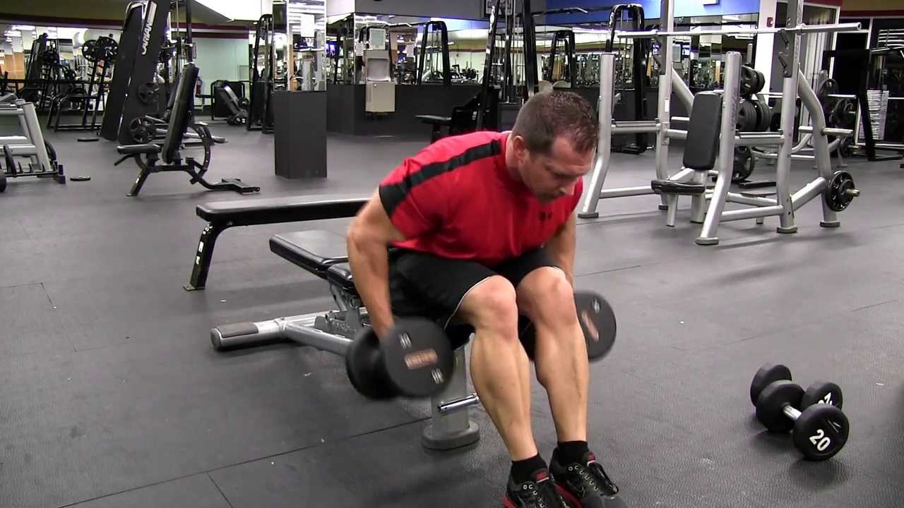 You are currently viewing Seated Bent Over Dumbbell Row