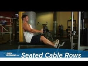 Seated Cable Rows – Back Exercise – Bodybuilding.com