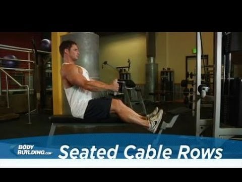 You are currently viewing Seated Cable Rows – Back Exercise – Bodybuilding.com