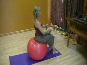 Seated Row on Ball – Upper Back Strengthening Rehab Exercise