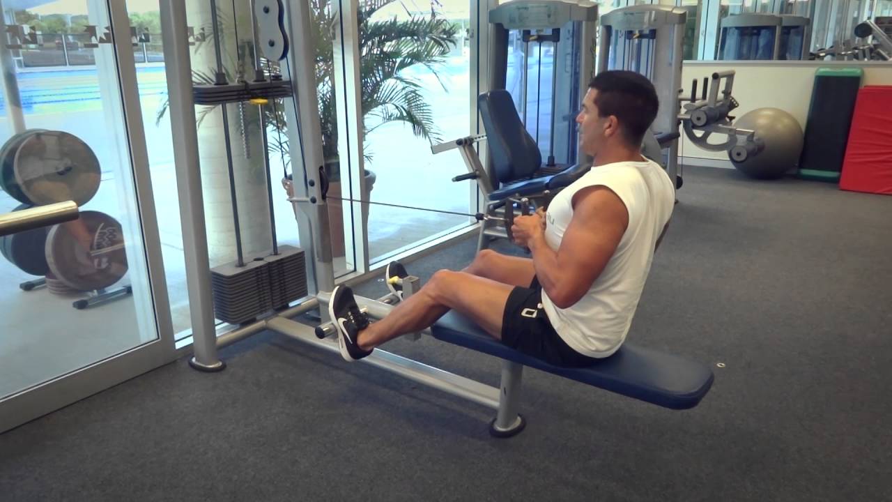 You are currently viewing Seated Rows (aka. Seated Cable Rows) (Exercises.com.au)