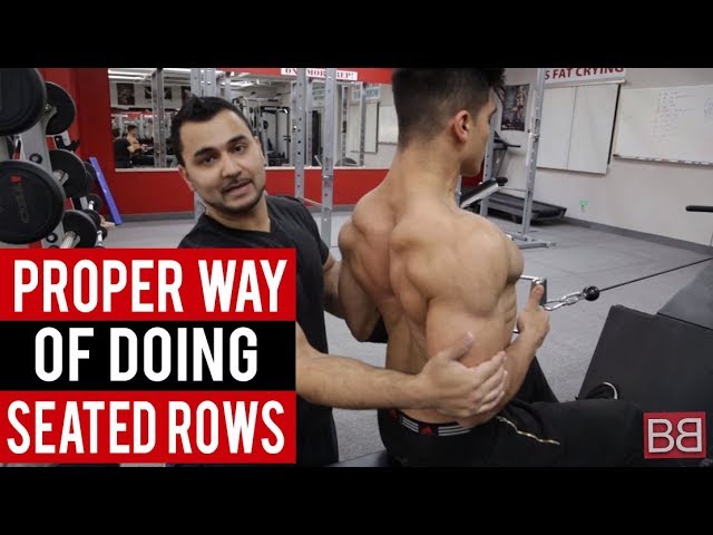 You are currently viewing Seated Rows for THICK BACK MUSCLES! (Hindi / Punjabi)