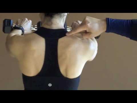 You are currently viewing Shoulder Exercises, Front and Lateral Raises