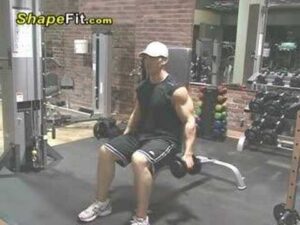 Read more about the article Shoulder Exercises – Seated Dumbbell Side Lateral Raises